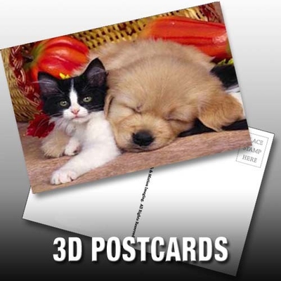 フォリップエフェクト 3D レンチカル ポストカード 可愛い子犬と子猫デザイン