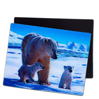 可愛い子犬 3D磁石 レンチカル 3D冷蔵庫磁石 記念品プレゼント