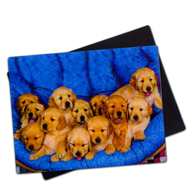 可愛い子犬 3D磁石 レンチカル 3D冷蔵庫磁石 記念品プレゼント