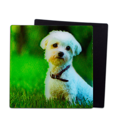 可愛い子犬 3D磁石 レンチカル 3D冷蔵庫磁石 記念品プレゼント